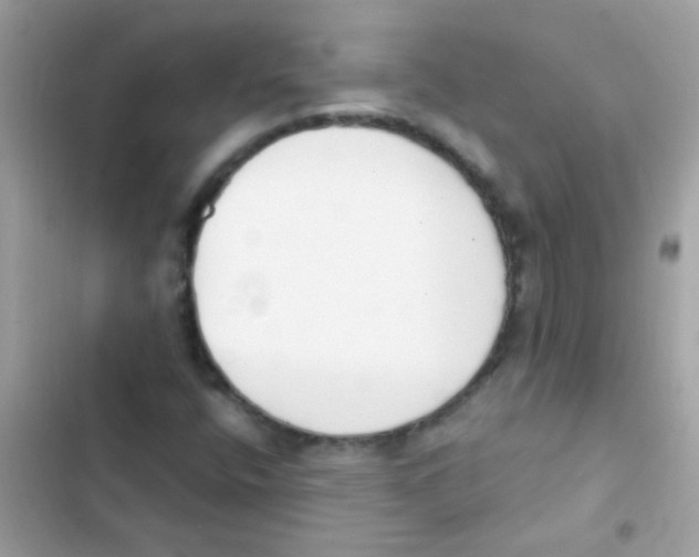 X0000103171400200809192106