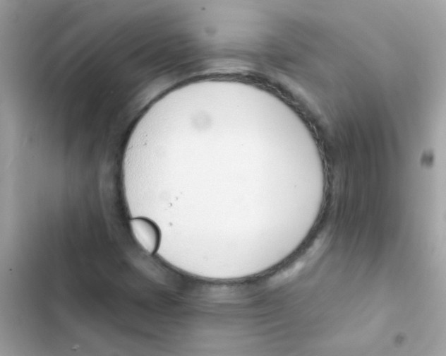 X0000103171401200809192106