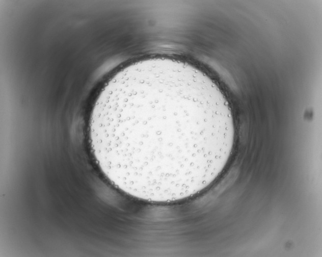 X0000103171402200809192106