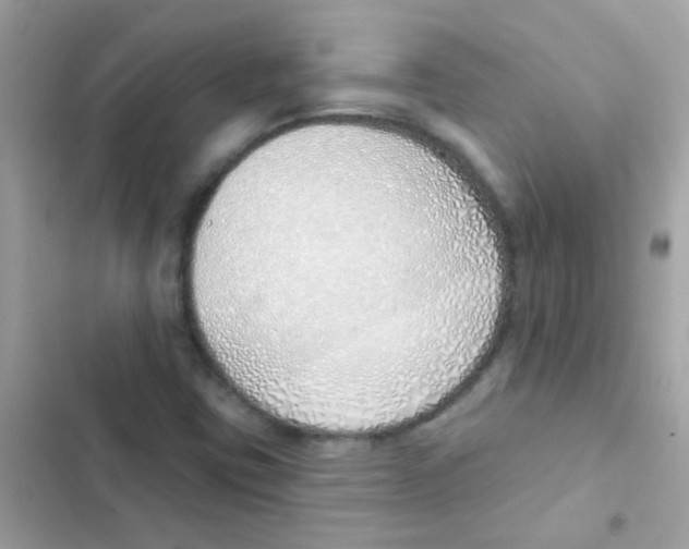 X0000103171403200809192106