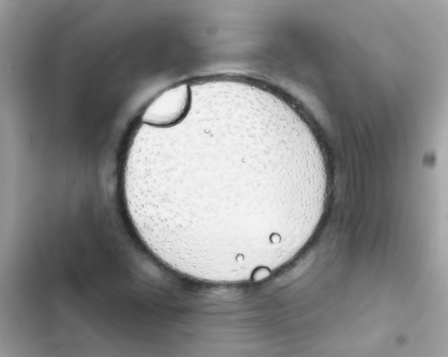 X0000103171406200809192106