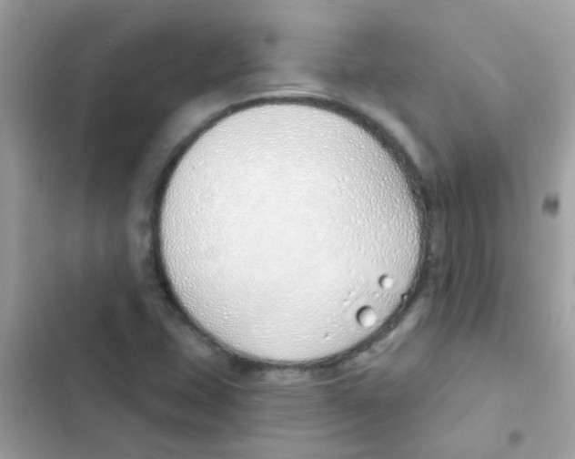 X0000103171407200809192106