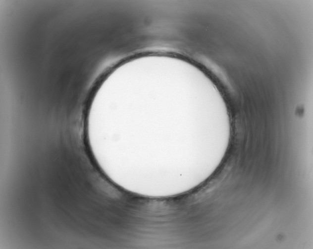 X0000103171408200809192106