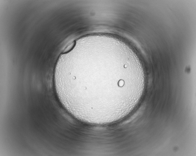 X0000103171409200809192106