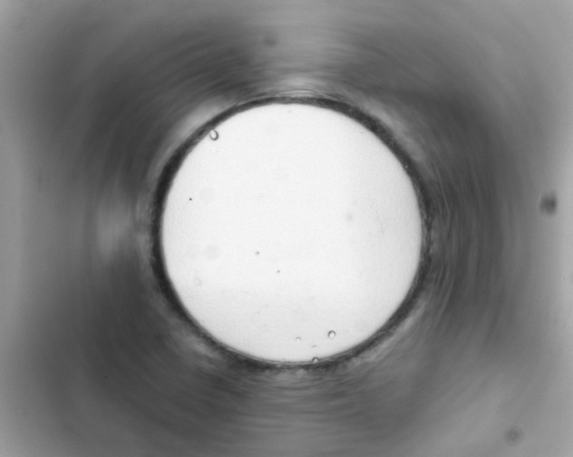 X0000103171410200809192106