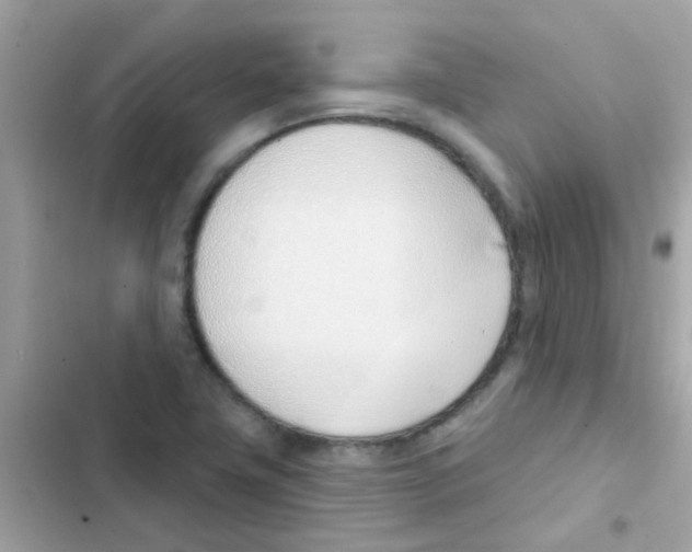 X0000103171411200809192106