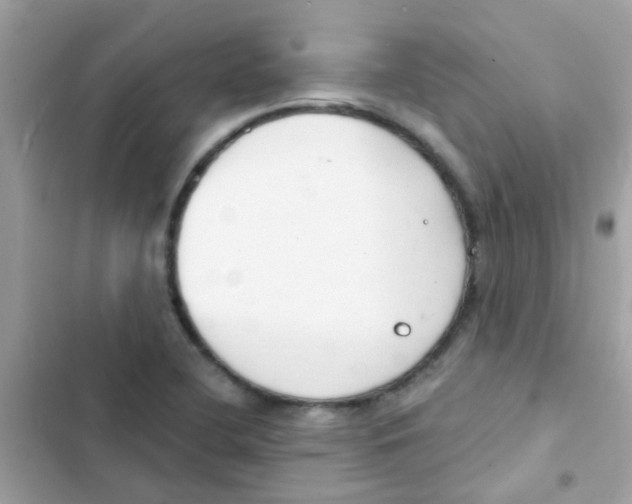 X0000103171412200809192106