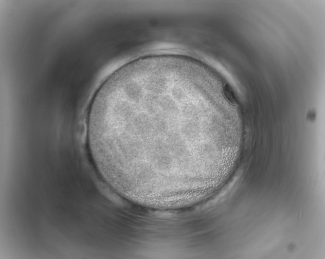 X0000103171413200809192106