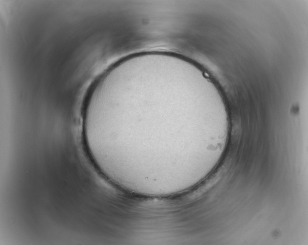 X0000103171414200809192106