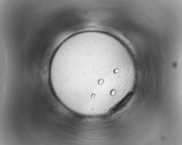 X0000103171415200809192106