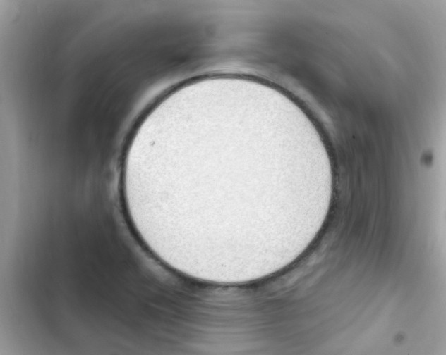 X0000103171416200809192106