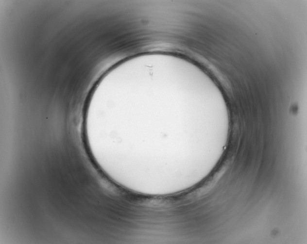 X0000103171418200809192106