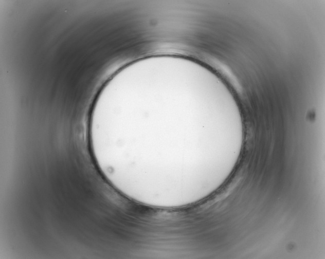 X0000103171419200809192106