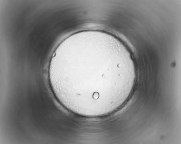 X0000103171421200809192106