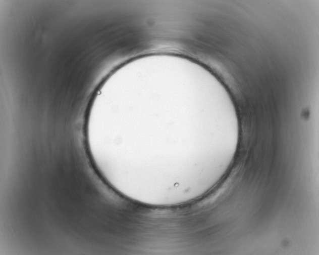 X0000103171422200809192106