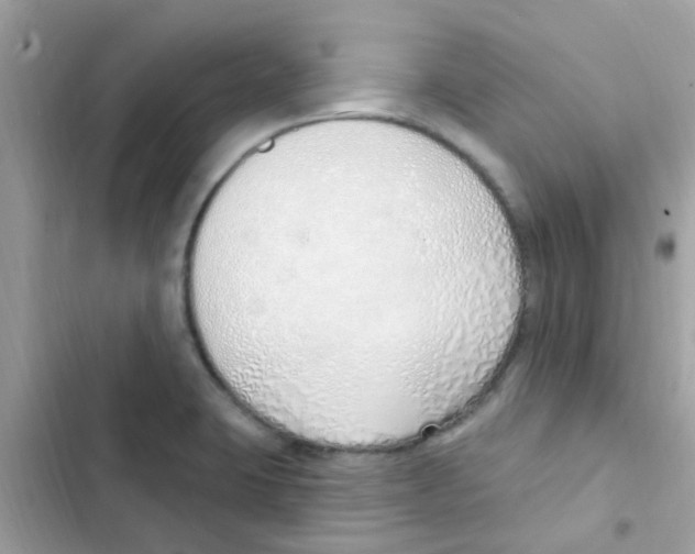 X0000103171423200809192106