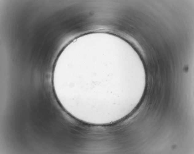 X0000103171424200809192106