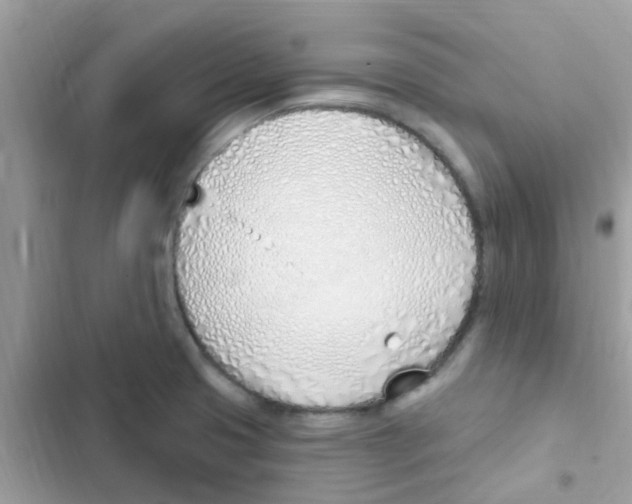 X0000103171425200809192106