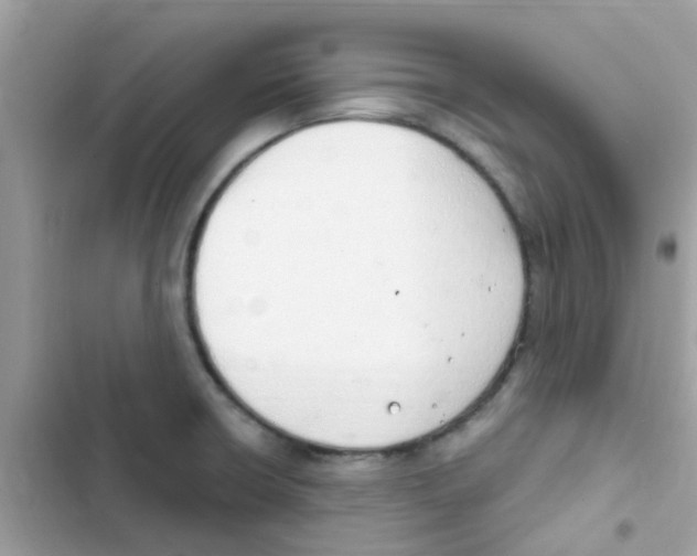 X0000103171426200809192106