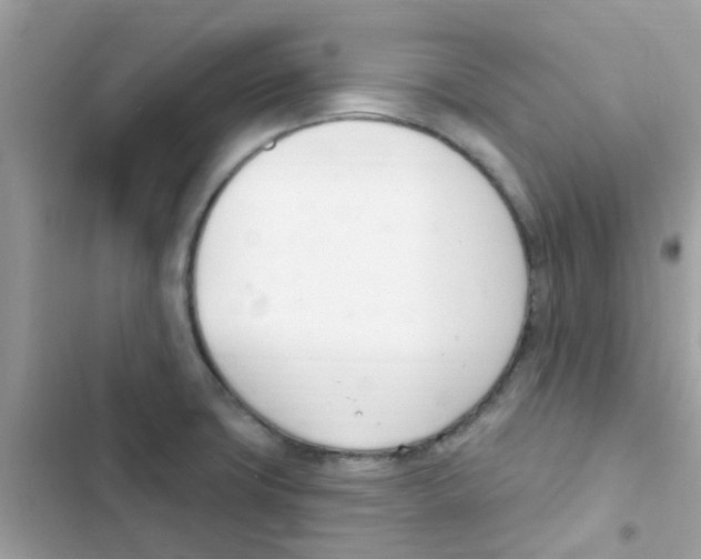 X0000103171427200809192106