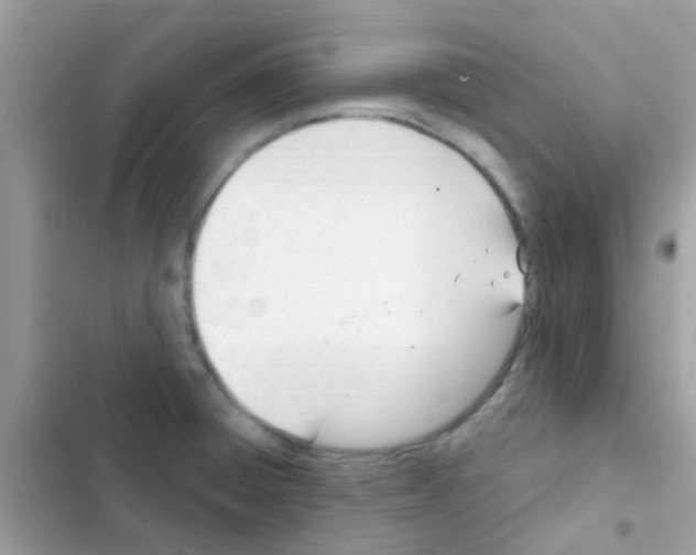 X0000103171428200809192106