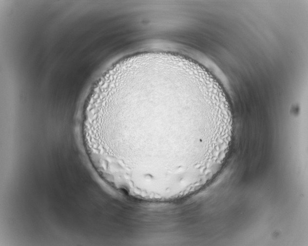 X0000103171429200809192106