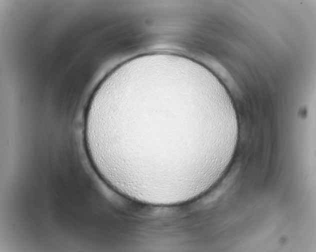 X0000103171430200809192106