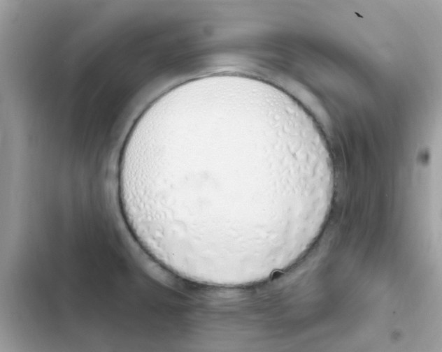 X0000103171431200809192106