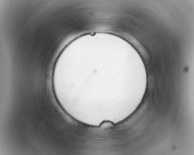 X0000103171432200809192106