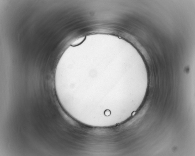 X0000103171433200809192107