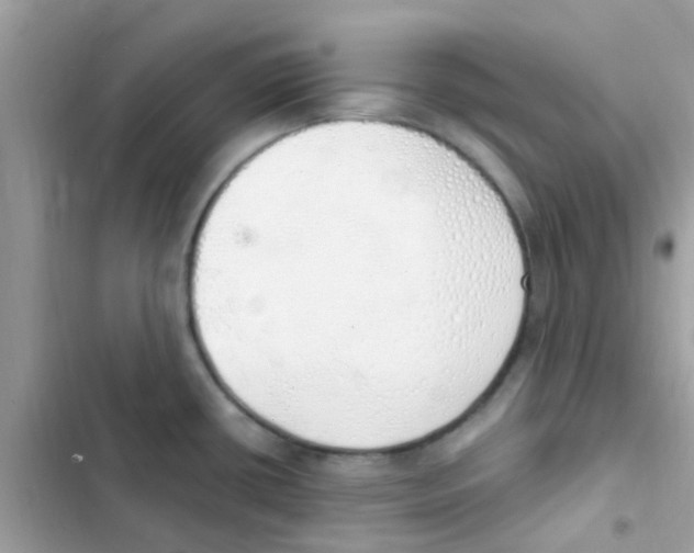 X0000103171434200809192107