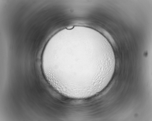 X0000103171435200809192107