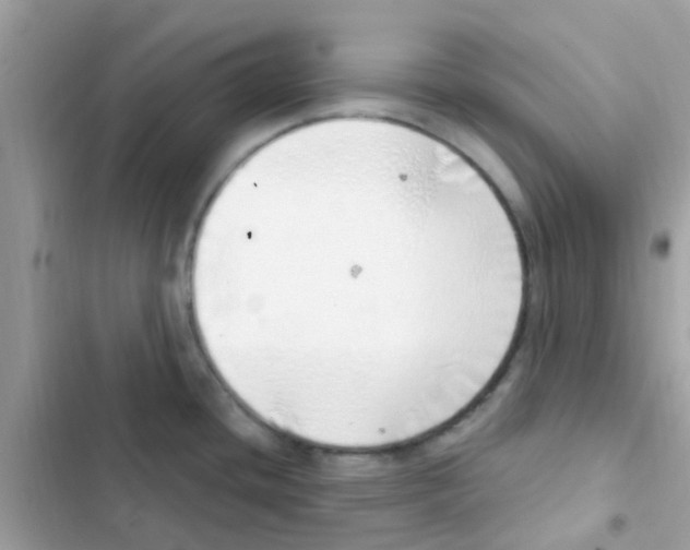 X0000103171436200809192107