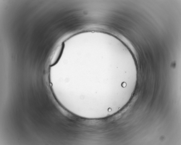 X0000103171437200809192107