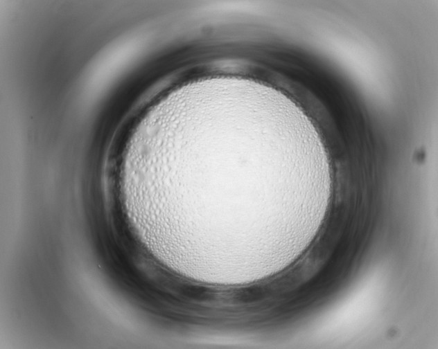 X0000103171438200809192107