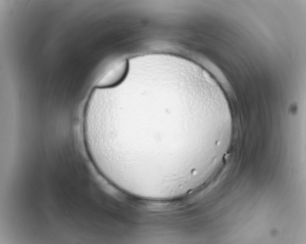 X0000103171439200809192107