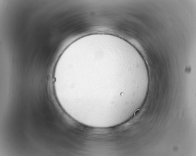 X0000103171440200809192107