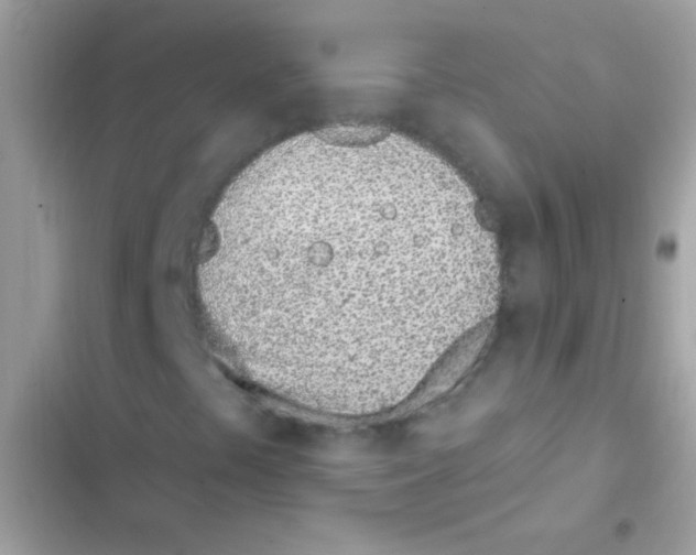 X0000103171441200809192106