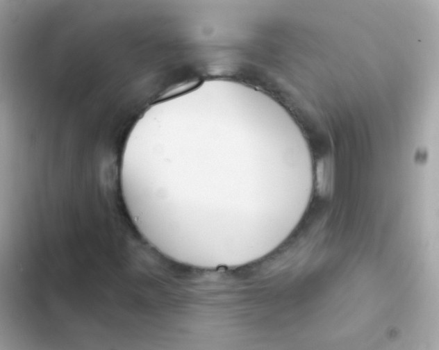 X0000103171443200809192106