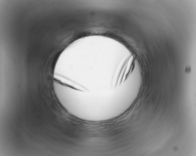 X0000103171444200809192106