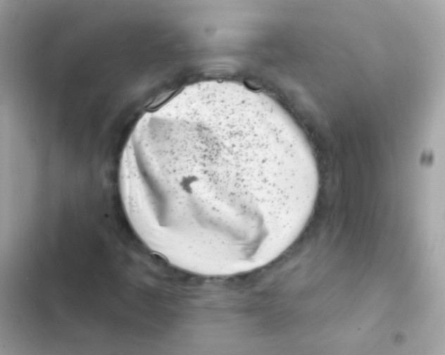 X0000103171445200809192106