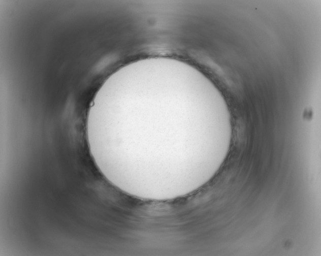 X0000103171446200809192106