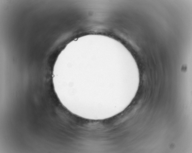 X0000103171447200809192106