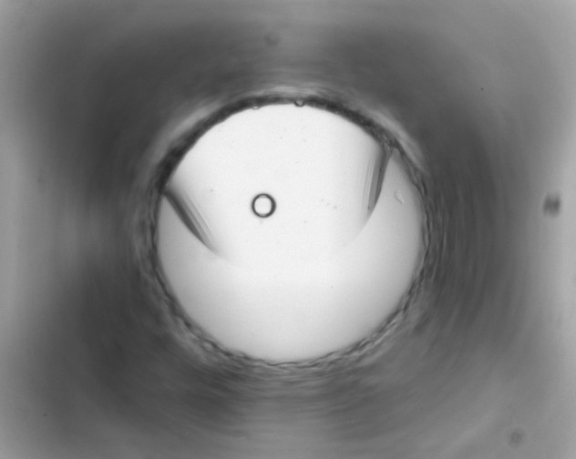 X0000103171448200809192106