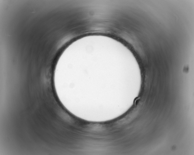 X0000103171450200809192106