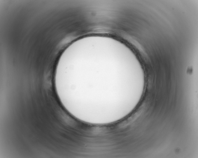 X0000103171451200809192106