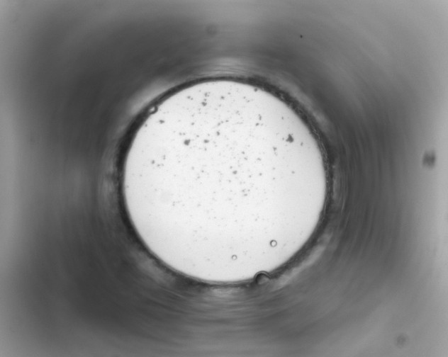 X0000103171453200809192106