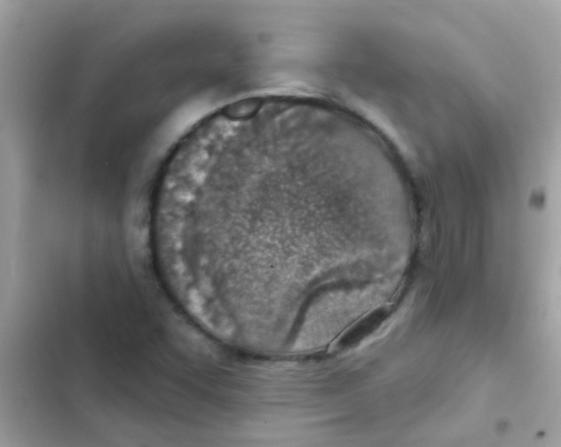 X0000103171455200809192106