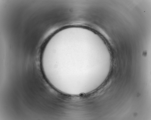 X0000103171456200809192106