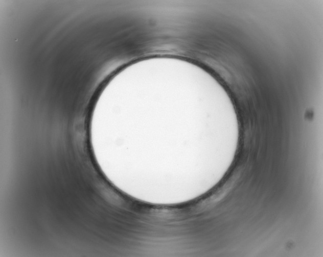 X0000103171458200809192105